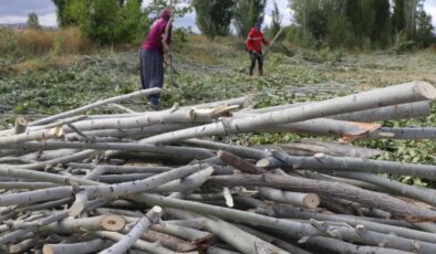 Kömür alamayan yurttaşlar çareyi odun toplamakta buldu