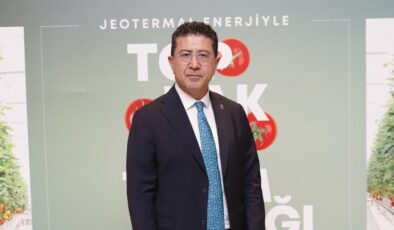 Konya’da 50 bin metrekarelik alanda domates üretimi başlıyor