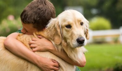 Köpekleri bu kadar çok sevmemizi bilim nasıl açıklıyor?
