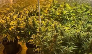 Köy evine ‘skunk’ operasyonu: 4 kişi gözaltına alındı