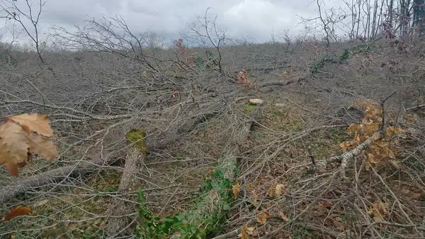 Köylüler Silivri’de doğa katliamına isyan etti: ‘İstanbul’un su kaynağı Terkos’un su kaynakları kirleniyor’