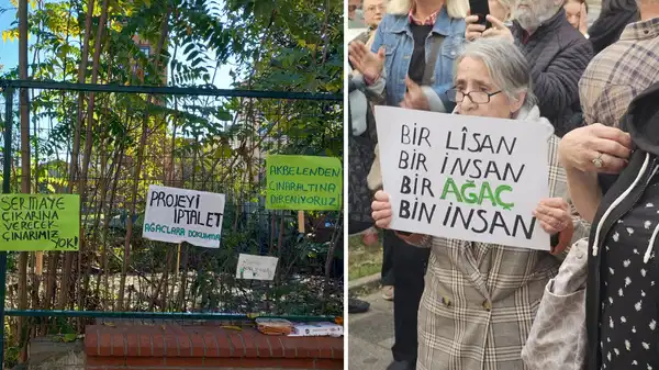 Kozyatağı’nda tarihi çınarlara kıyım: Mahalleli ‘Çınaraltı Savunması’nı kurdu