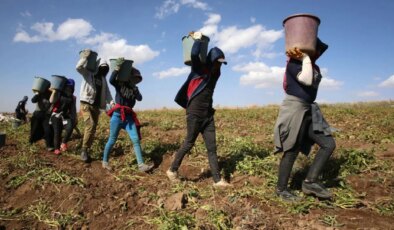 Kurs Der Elazığ Şube Başkanı Aksu: ‘265 mühendis mevsimlik işçi olmak için başvurdu’