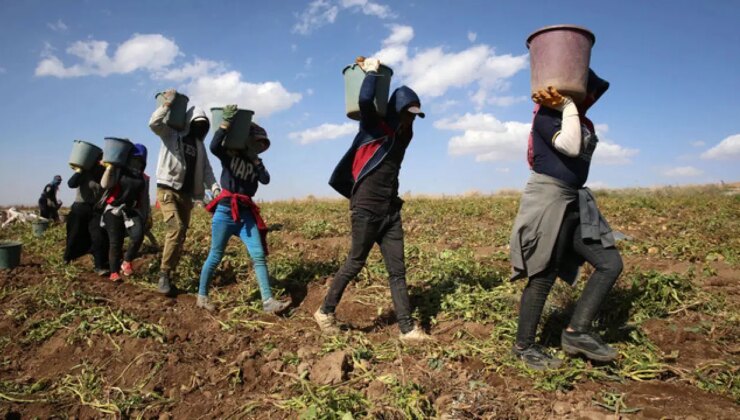 Kurs Der Elazığ Şube Başkanı Aksu: ‘265 mühendis mevsimlik işçi olmak için başvurdu’