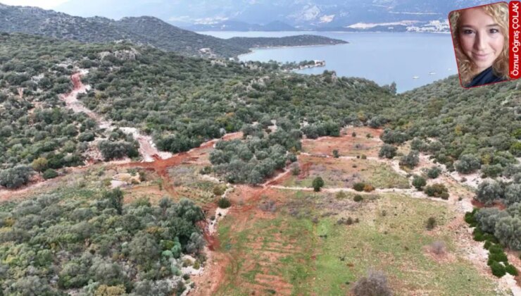 Limanağzı’ndaki yol izni yargıya taşındı