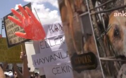 Mahkeme gerekçeli kararı açıkladı: Yavru köpeklere tecavüz edip katleden doktora 9 yıl 9 ay hapis