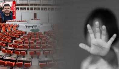 Meclis taciz olayıyla ilgili soruşturmasını tamamladı ama 7 yıl önce benzer olayların yaşandığı ortaya çıktı