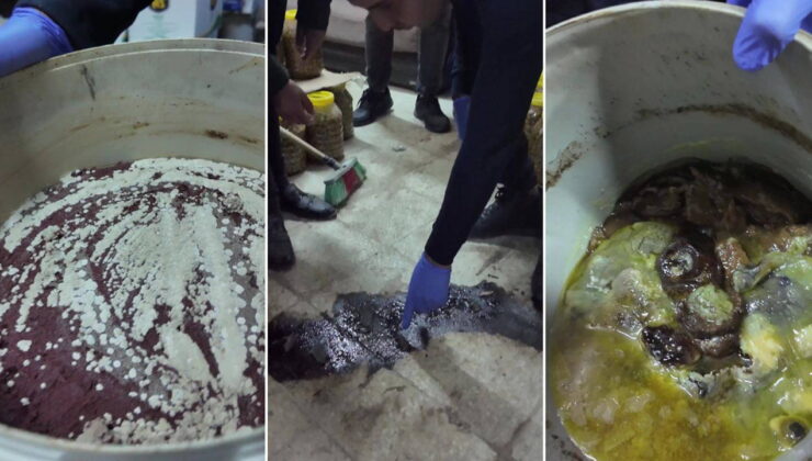 Merdiven altı işletmede skandal denetim: Ölü fareler ve bozuk ürünler ortaya çıktı