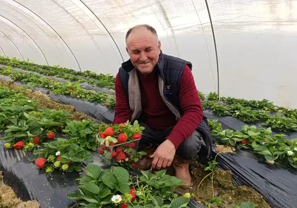 Mevsimi bitti, hasadı bitmedi: Kilosu 200 TL…