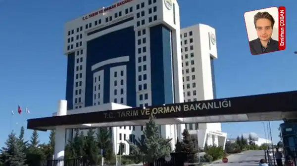 Müdürlere TOGG, memura gelince bütçe yok: ‘Savurganlık sürüyor, fatura emekçiye kesiliyor’