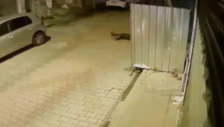 O anlar kamerada… ‘Dur’ ihtarına uymadı, bekçiye çarpıp kaçtı