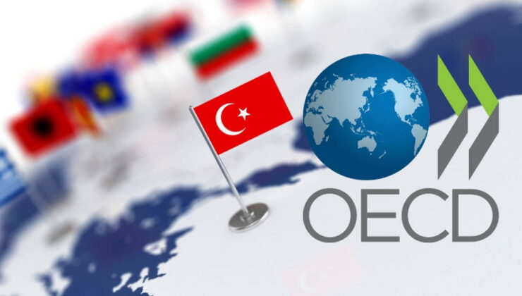 OECD en çok büyüyen ülkeleri açıkladı: Türkiye kaçıncı sırada?