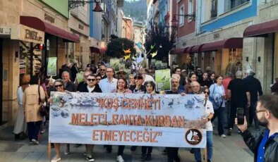 Ordu halkı betonlaşmaya karşı bir aydır nöbette