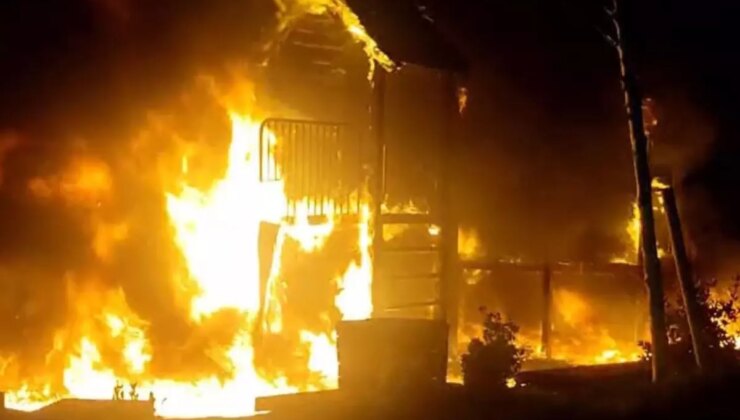 Parkı küle çeviren çocuk: Isınmak için ateş yaktık