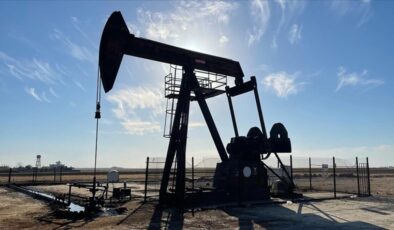 Petrol devlerinin 10 aylık dönemindeki kârı azaldı