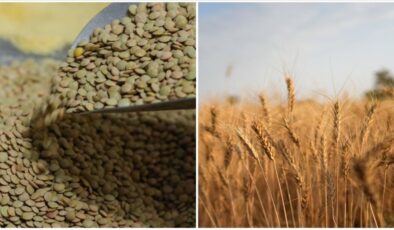 Ramazan’a hazırlık! Yeşil mercimek ve yulaf ithalatında gümrük vergileri düşürüldü