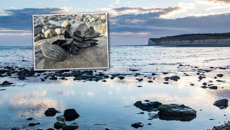 Sahilde 200 yıllık çizmeler gün yüzüne çıktı