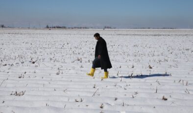 Şanlıurfa’da etkili olan kar yağışı çiftçiyi sevindirdi