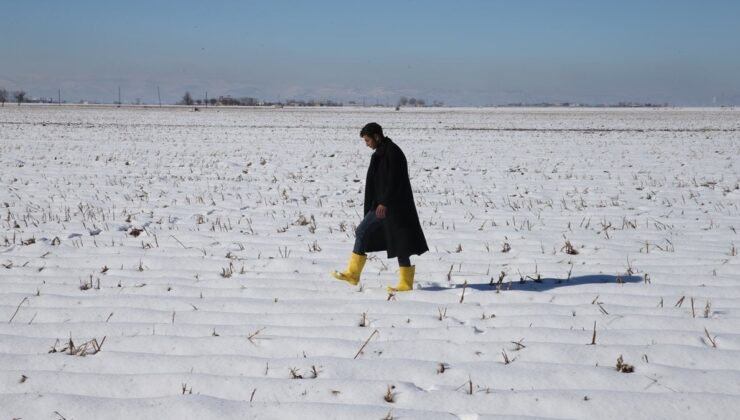 Şanlıurfa’da etkili olan kar yağışı çiftçiyi sevindirdi