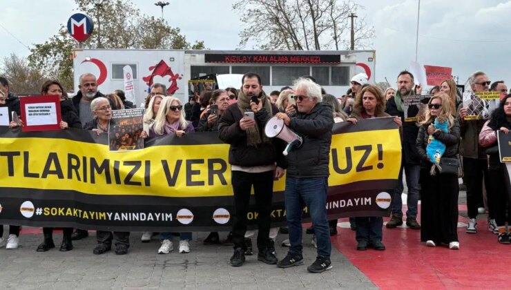 Sokak hayvanlarının tedavisi bürokrasiye takıldı, çip zorunluluğu öne sürüldü: İyilik yapan risk altında