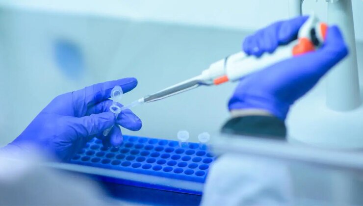 Son 50 yılın dördüncü vakası: Nakledilen böbrekten kuduz bulaştı