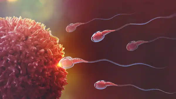 Sperm bankası faciası: Avrupa’da yüzlerce çocuk tehlike altında