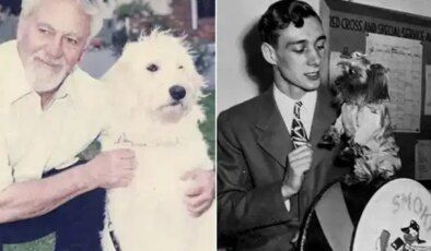 Tarihteki beş ünlü köpek nasıl kahraman oldu?