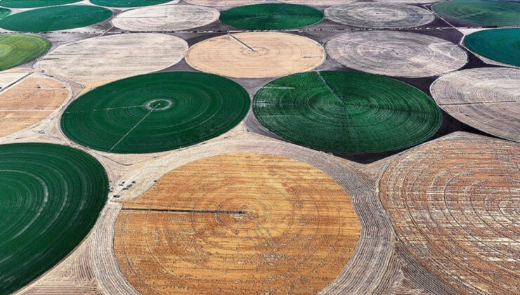Tarım ürünlerinin depolama süreleri uzatıldı: 18 aydan 24 aya