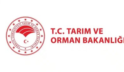 Tarım ve Orman Bakanlığı personel alımı başvuruları ne zaman? Tarım ve Orman Bakanlığı 47 kontrolör yardımcısı başvuru şartları neler?