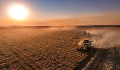 Tarımda IPARD-III Programı kasım dönemi ödemesi yapıldı