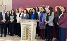 TBMM’de cinsel istismar skandalı… DEM Parti Kadın Meclisi: ‘Bu çocuklar şikâyet edene kadar Meclis neredeydi?’