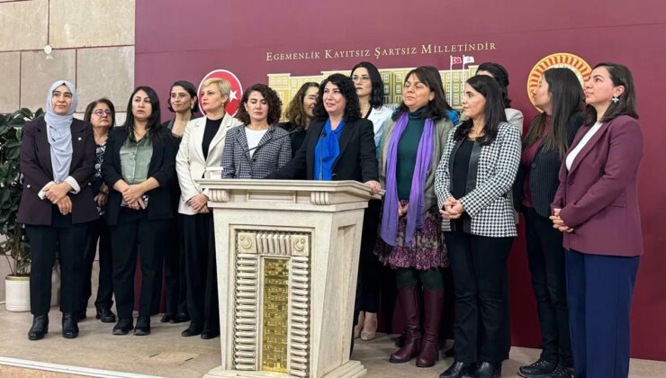 TBMM’de cinsel istismar skandalı… DEM Parti Kadın Meclisi: ‘Bu çocuklar şikâyet edene kadar Meclis neredeydi?’