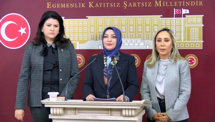 TBMM’deki taciz iddiaları nedeniyle komisyonda izlem grubu oluşturuldu
