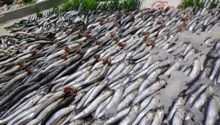 Tezgahlarda palamut yok, hamsi çok