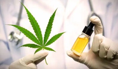 Tıp dünyasından soğuk duş: ‘Tıbbi kenevir’ efsanesi çöktü