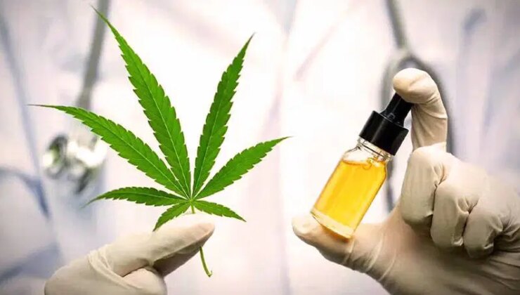 Tıp dünyasından soğuk duş: ‘Tıbbi kenevir’ efsanesi çöktü