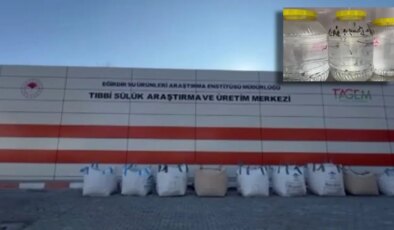 Türkiye’de bir ilk: Kamu enstitüsü sülük üretiyor