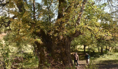 Türkiye’nin doğal mirası güvence altında
