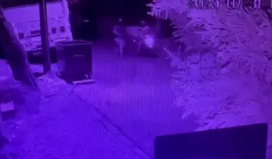 Üsküdar’da haraç istediler, oteli ve evi kurşunladılar!