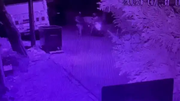 Üsküdar’da haraç istediler, oteli ve evi kurşunladılar!