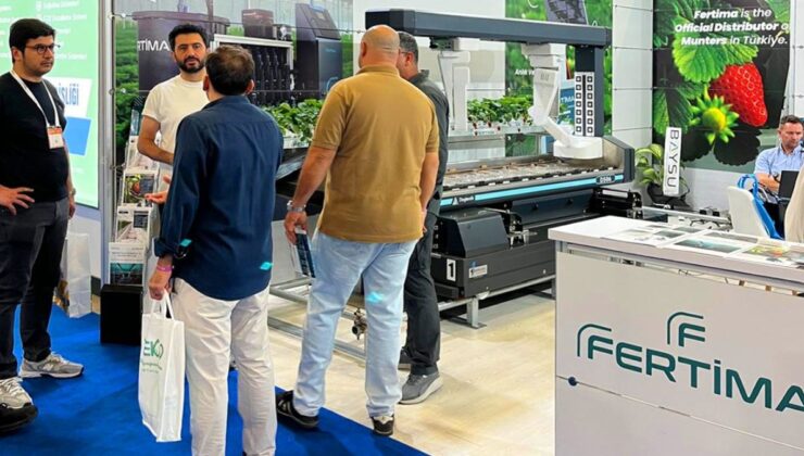 Yapay zekâ artık çilek seralarında