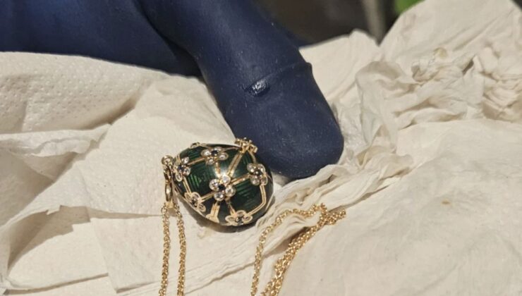 Yeni Zelanda’da bir hırsız, yuttuğu kolyeyi 6 günde çıkardı