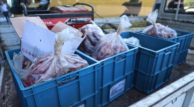 Yer Antalya Otogarı… 270 kilo kırmızı et ile 5 kilo köfteye el konuldu: Otobüs firmasına ceza verildi