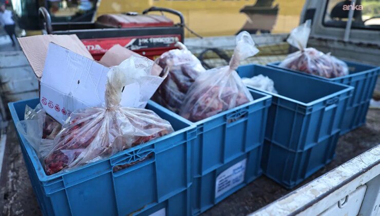 Yer Antalya Otogarı… 270 kilo kırmızı et ile 5 kilo köfteye el konuldu: Otobüs firmasına ceza verildi