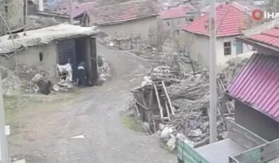 Yerde yatan karısının kafasını tekmeleyen şahıs tutuklandı