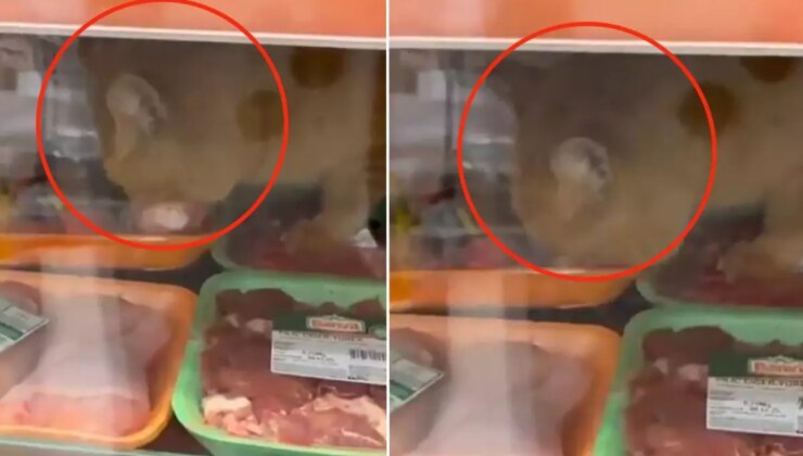 Zincir markette mide bulandıran skandal! Gören hemen kayda girdi