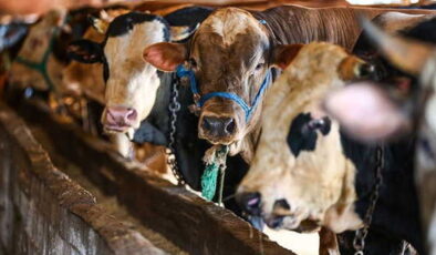 2026 Kurban Bayramı ne zaman, hangi ay? Kurban Bayramı tatili kaç gün?