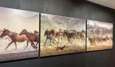 A. Halim Kulaksız’ın ‘Vahşi ve Özgür’ sergisi Piramid Sanat’ta açıldı: Özgürlüğün fotoğrafı
