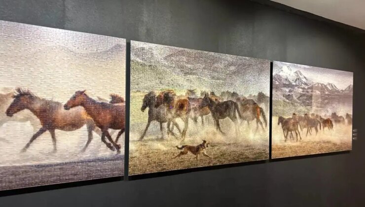 A. Halim Kulaksız’ın ‘Vahşi ve Özgür’ sergisi Piramid Sanat’ta açıldı: Özgürlüğün fotoğrafı