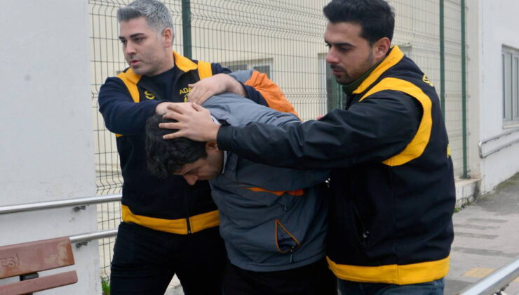 Adana’da kediyi ezen sürücüye ‘barınak’ cezası verildi!